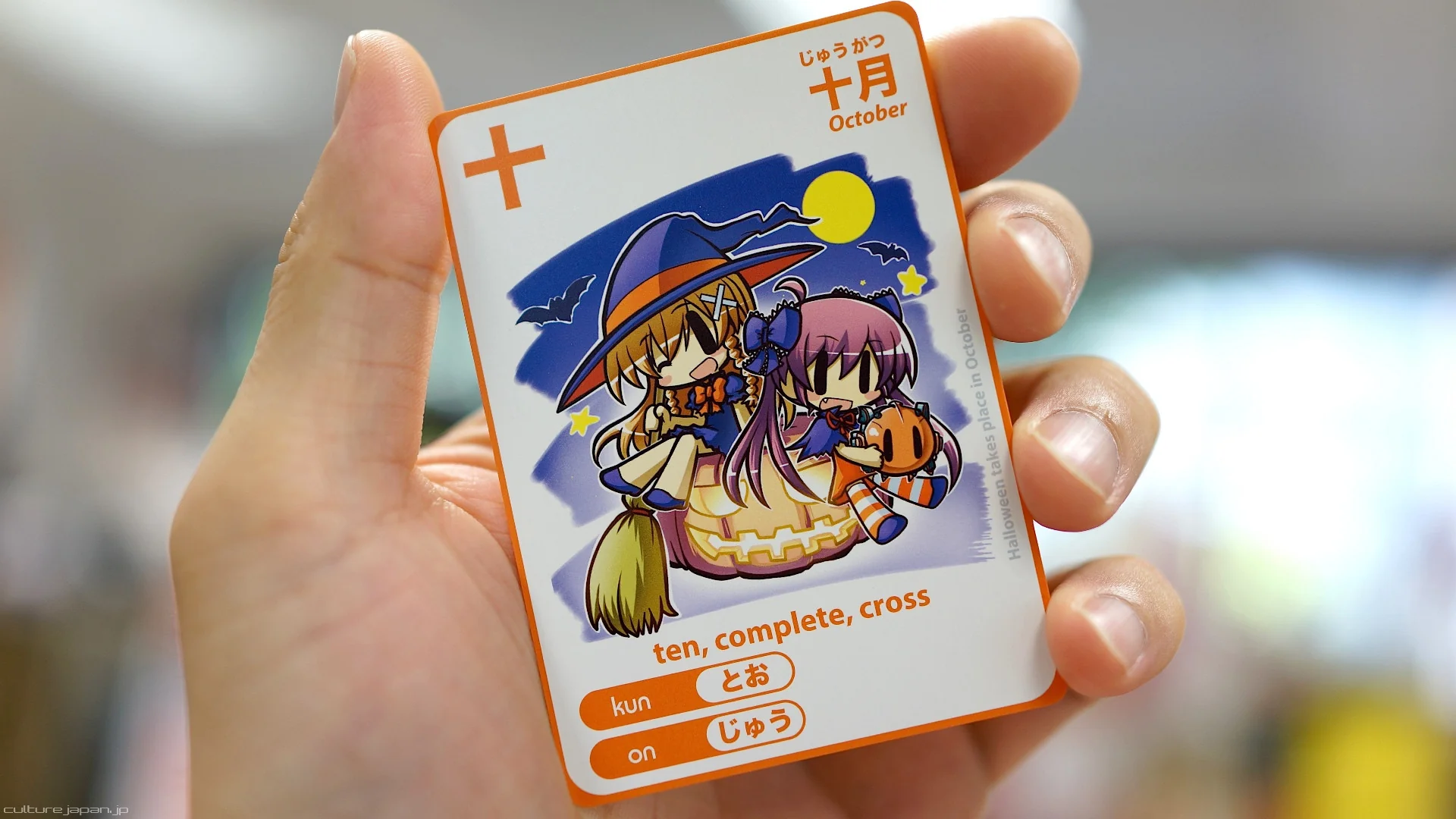 Thumbnail 14