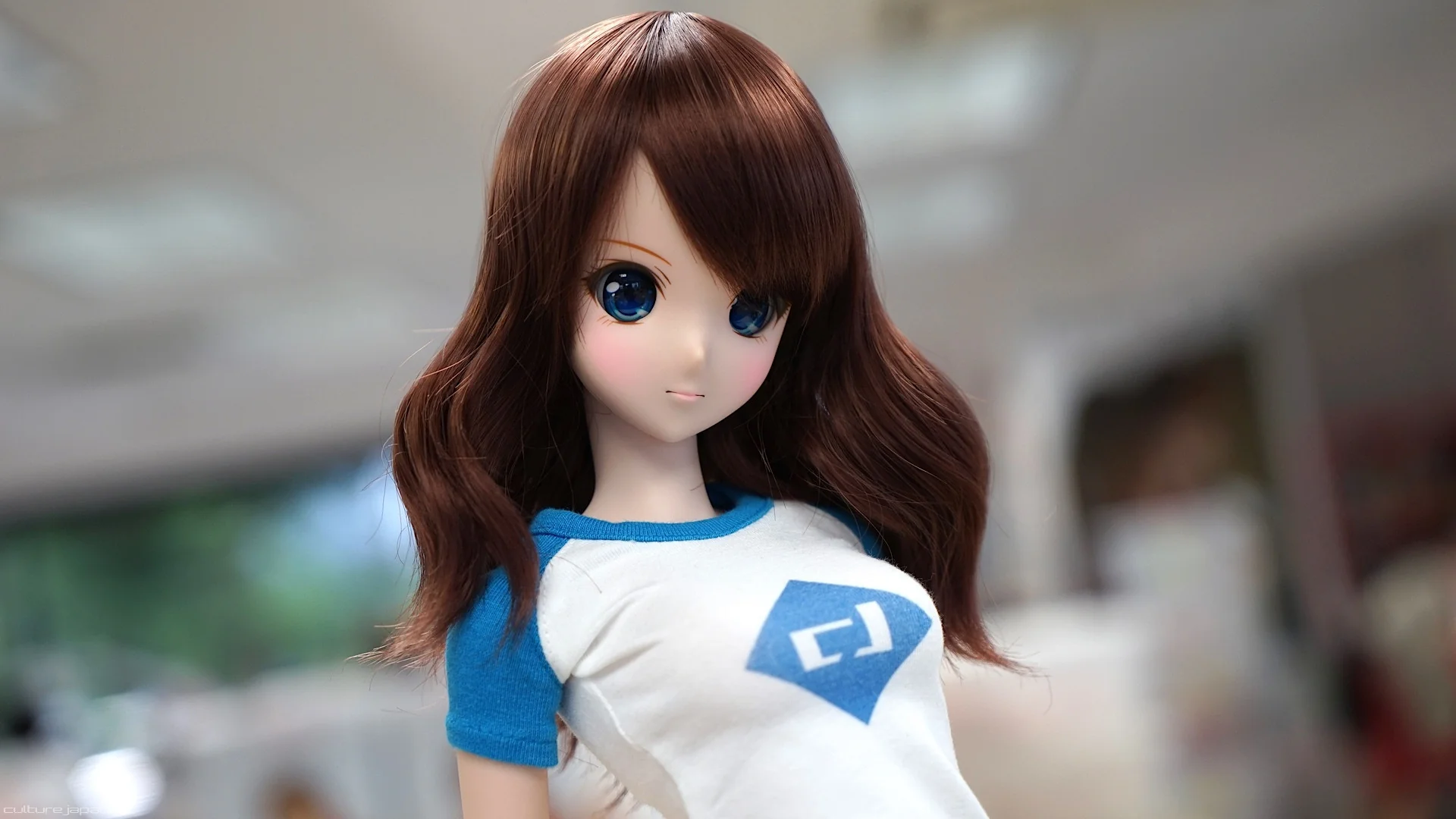 Thumbnail 13